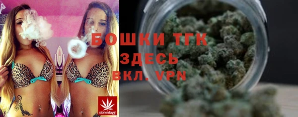 сатива Армянск
