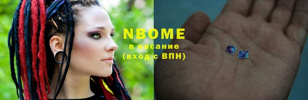 индика Горнозаводск