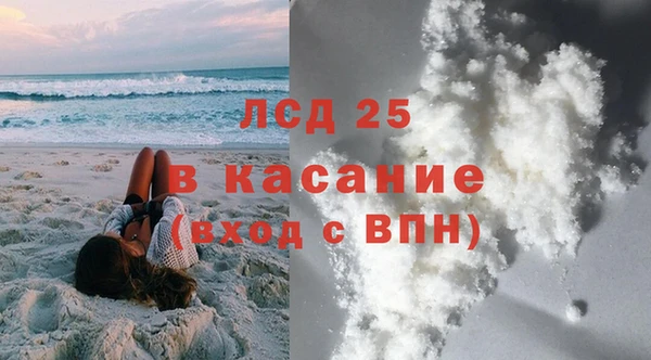 сатива Армянск