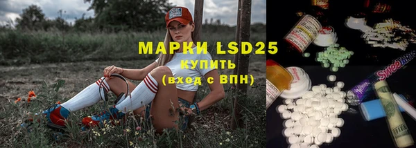 сатива Армянск